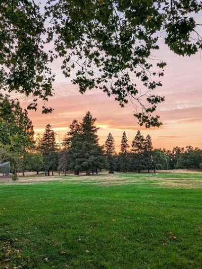 Berryessa Creek Park - San Jose, CA