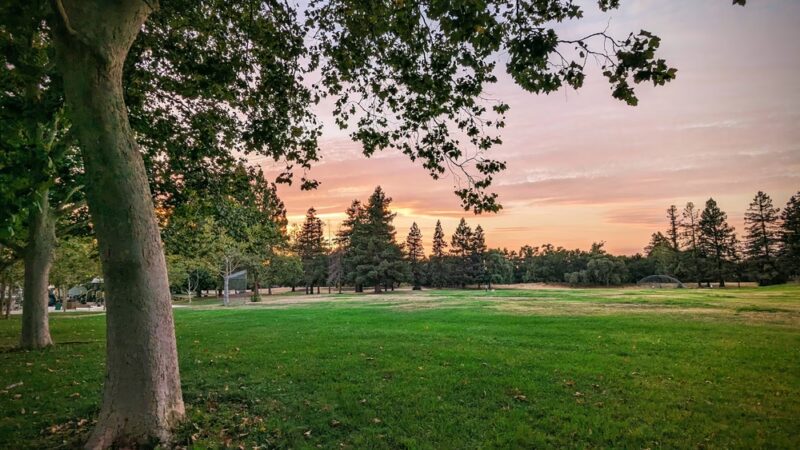 Berryessa Creek Park - San Jose, CA