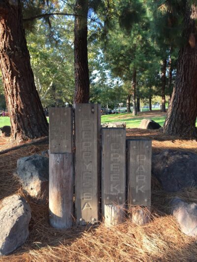 Berryessa Creek Park - San Jose, CA