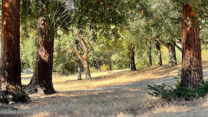 Berryessa Creek Park - San Jose, CA