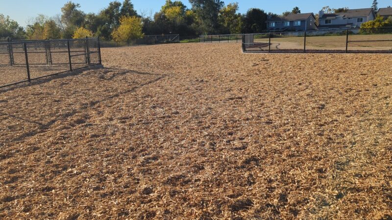 Bruzzone Dog Park - San Jose, CA