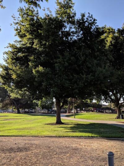 Cahalan Park - San Jose, CA