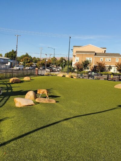 Cannery Park - San Jose, CA