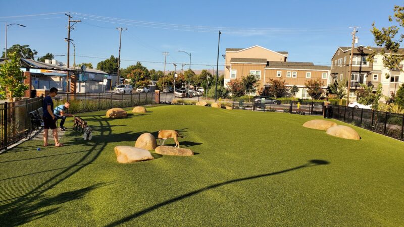 Cannery Park - San Jose, CA
