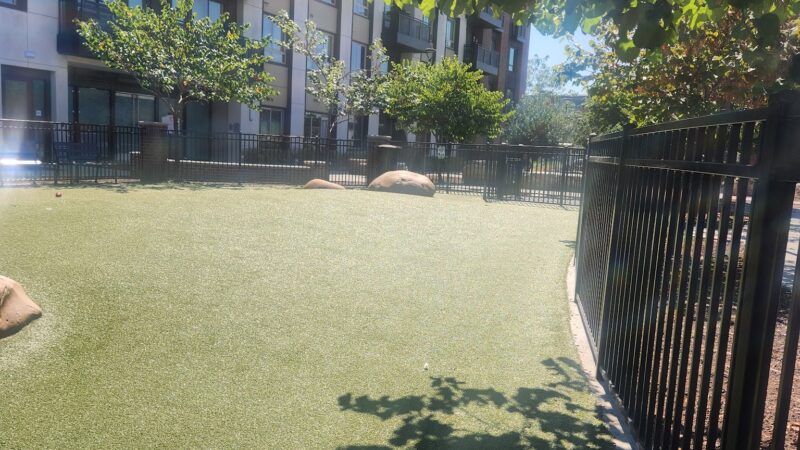 Cannery Park - San Jose, CA