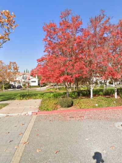 Chaboya Park - San Jose, CA