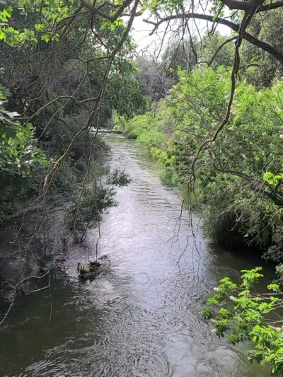 Coyote Creek Trail - San Jose, CA