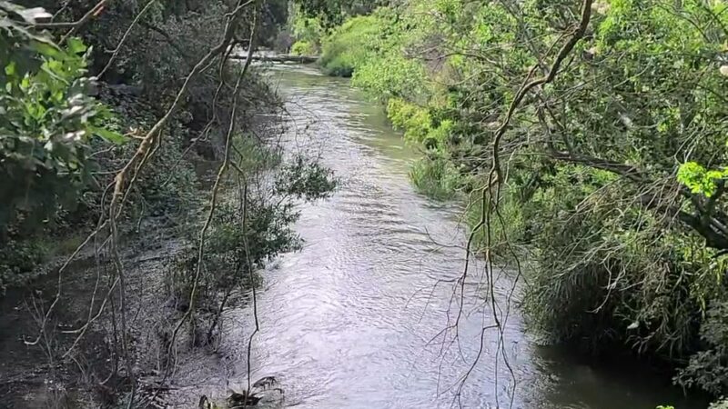 Coyote Creek Trail - San Jose, CA