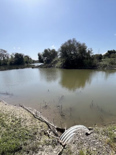 Coyote Creek Trail - San Jose, CA