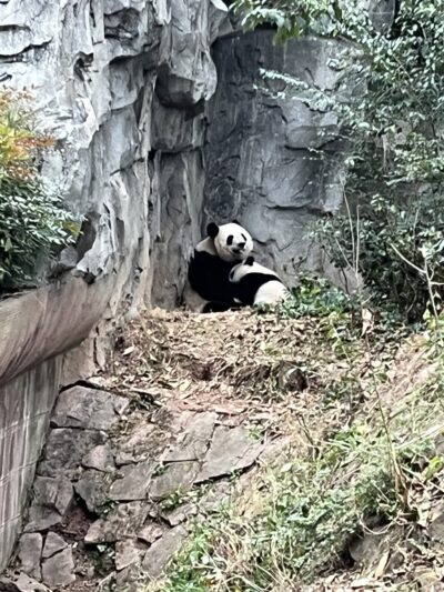 Coyote Creek Trail Berryessa - San Jose, CA