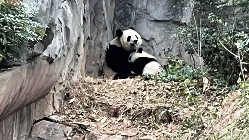 Coyote Creek Trail Berryessa - San Jose, CA