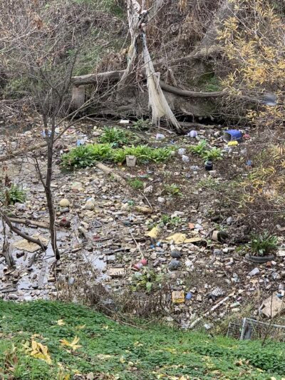 Coyote Creek Trail Berryessa - San Jose, CA