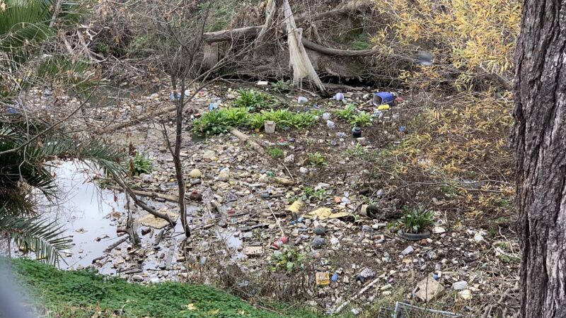 Coyote Creek Trail Berryessa - San Jose, CA