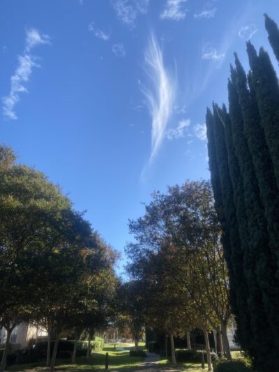 Dante Park - San Jose, CA