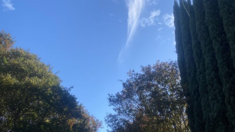 Dante Park - San Jose, CA