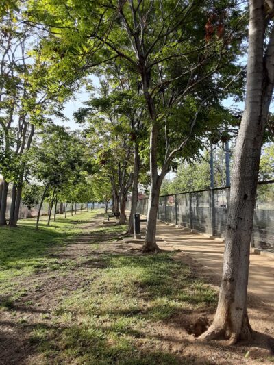 Discovery Dog Park - San Jose, CA