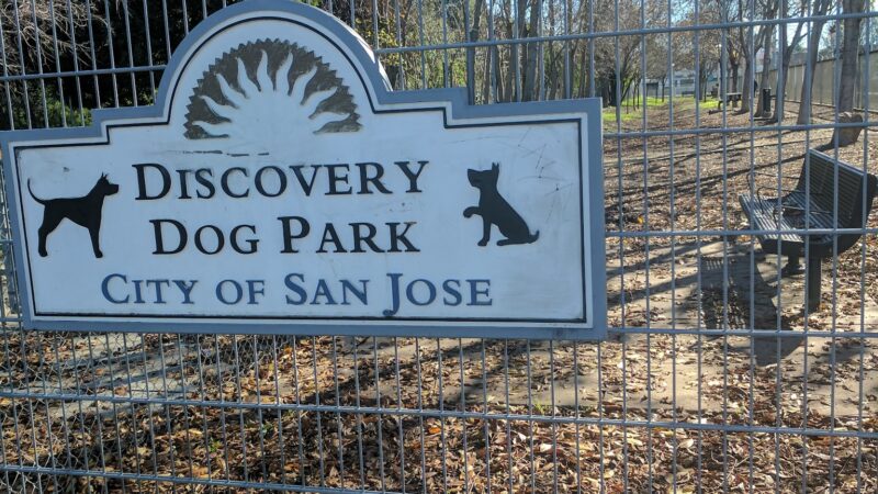 Discovery Dog Park - San Jose, CA