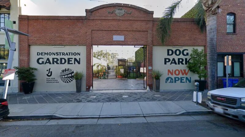 Dog Park - San Jose, CA