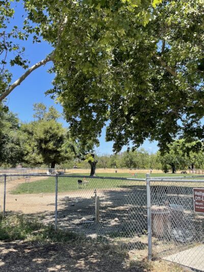 Dog Park at Hellyer County Park - San Jose, CA