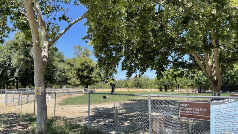 Dog Park at Hellyer County Park - San Jose, CA