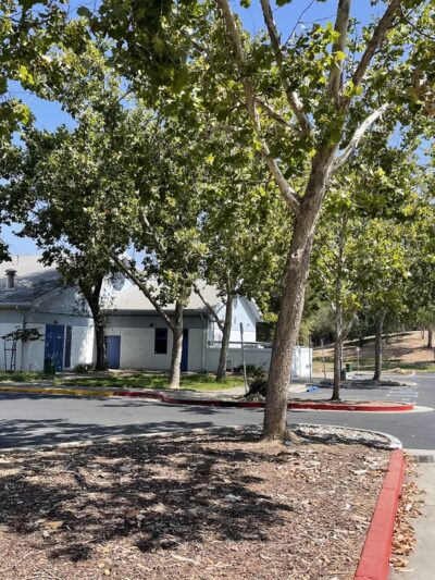 Evergreen Park - San Jose, CA