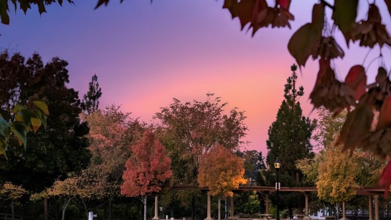 Falls Creek Park - San Jose, CA