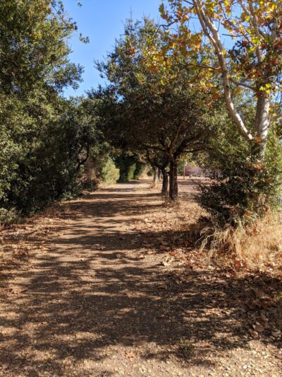 Falls Creek Park - San Jose, CA