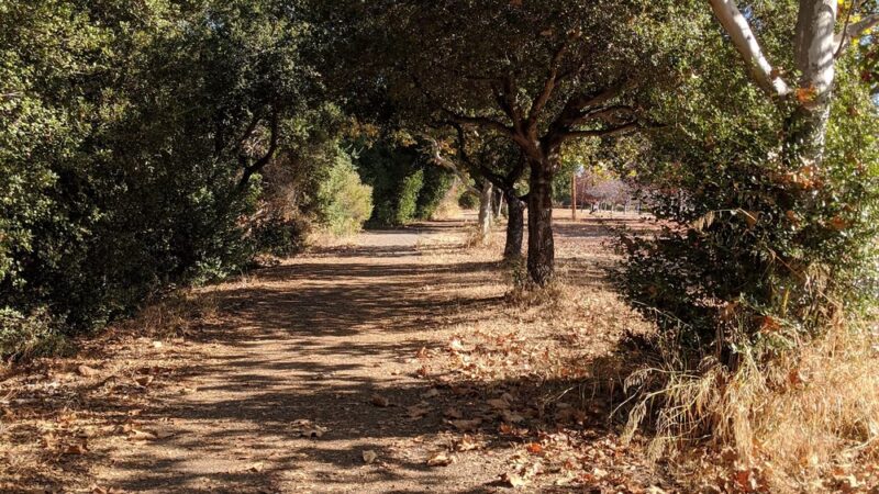 Falls Creek Park - San Jose, CA