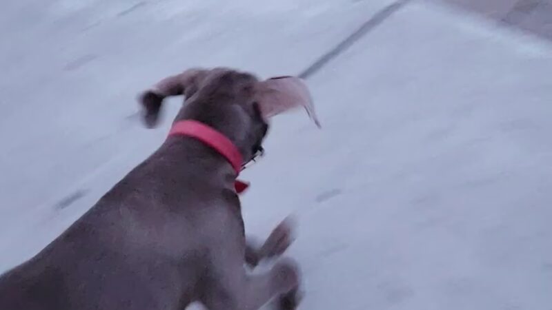 Fleming Park - San Jose, CA