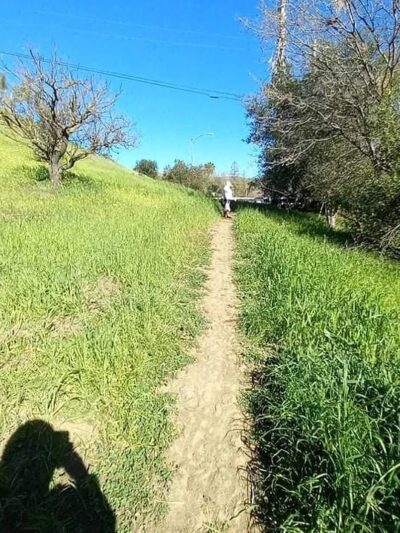 Fleming Park - San Jose, CA