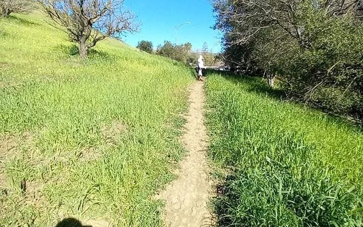 Fleming Park - San Jose, CA