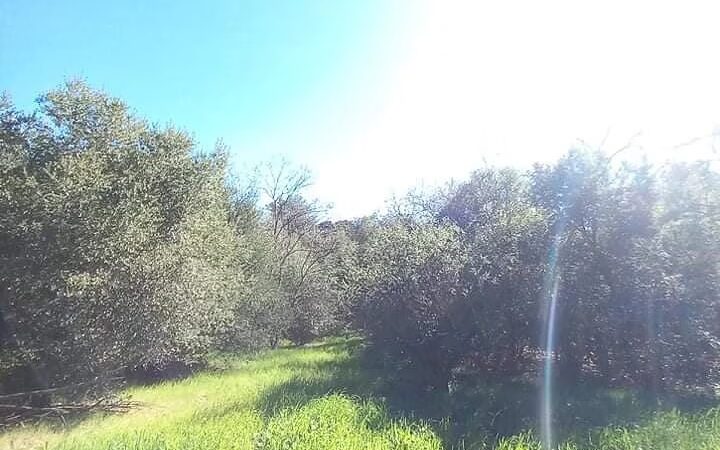 Fleming Park - San Jose, CA