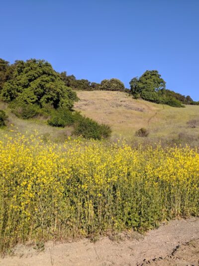 Foothill Park - San Jose, CA