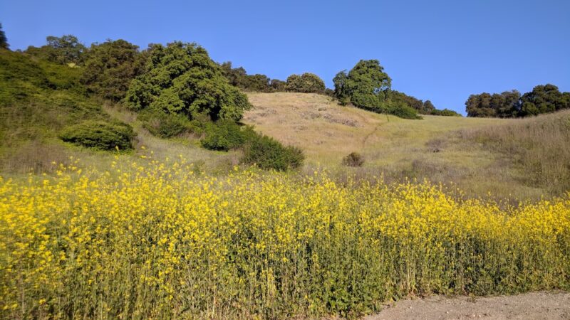Foothill Park - San Jose, CA