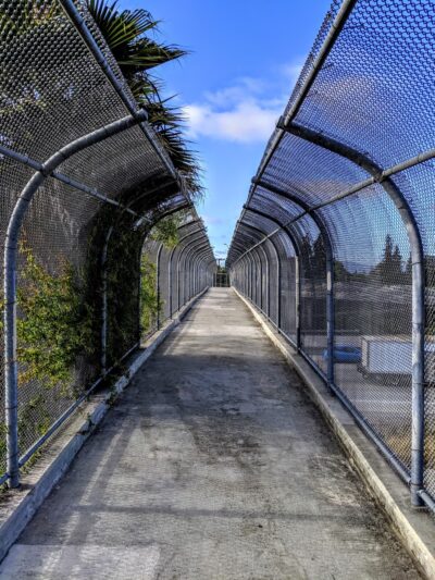 Frank M. Santana Park - San Jose, CA