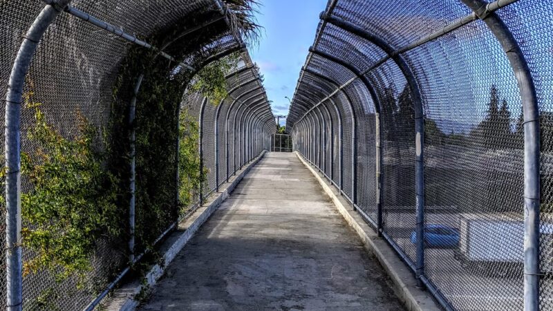 Frank M. Santana Park - San Jose, CA