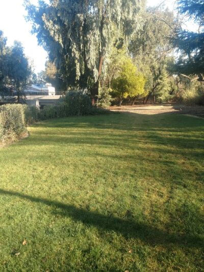 Fuller Park - San Jose, CA