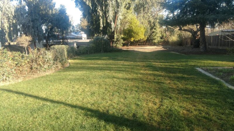 Fuller Park - San Jose, CA