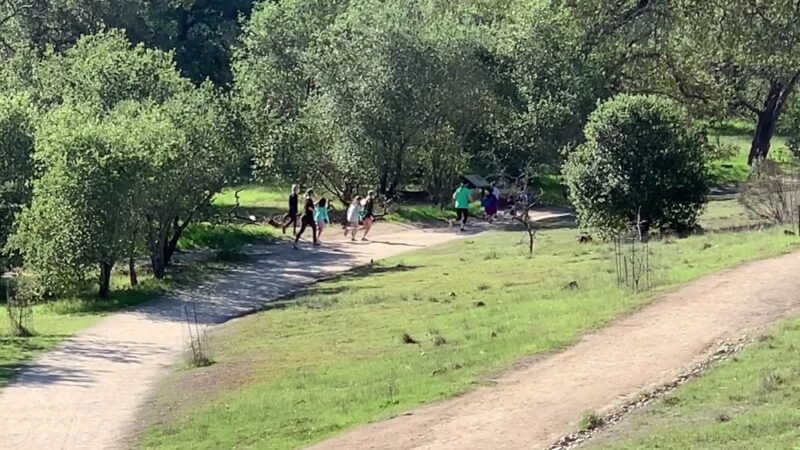 Guadalupe Oak Grove Park - San Jose, CA