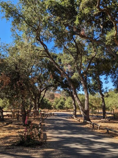 Guadalupe Oak Grove Park - San Jose, CA