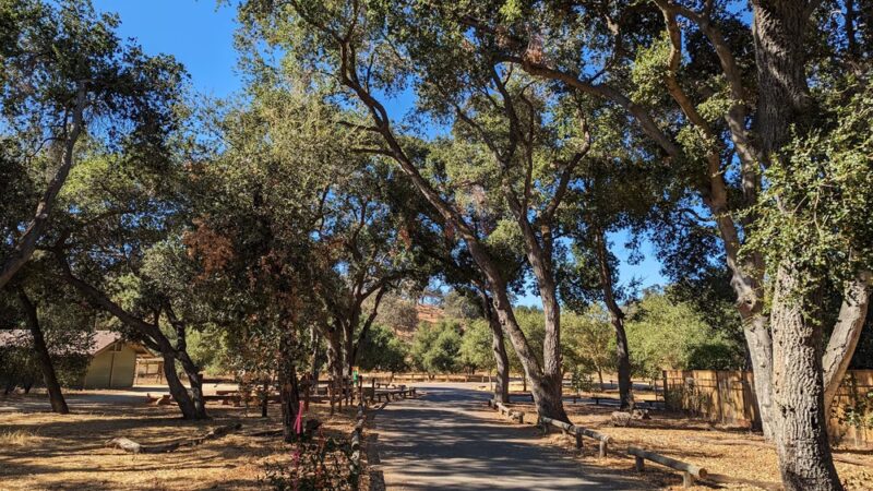 Guadalupe Oak Grove Park - San Jose, CA