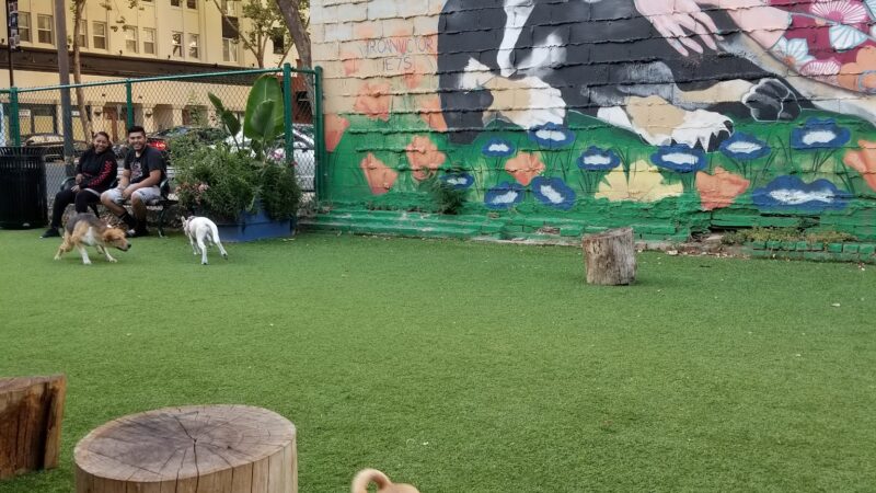 Hart's Dog Park - San Jose, CA