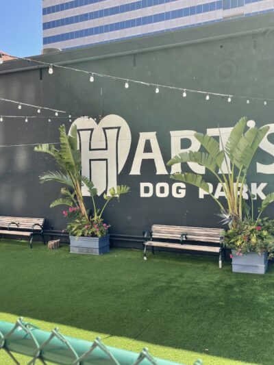 Hart's Dog Park - San Jose, CA