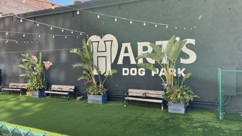 Hart's Dog Park - San Jose, CA