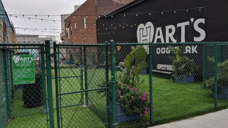 Hart's Dog Park - San Jose, CA