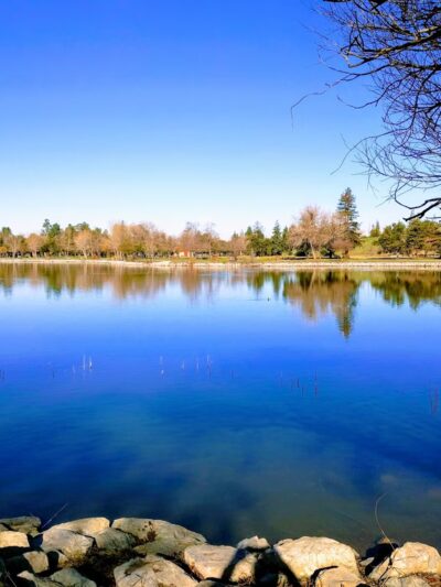 Hellyer County Park - San Jose, CA