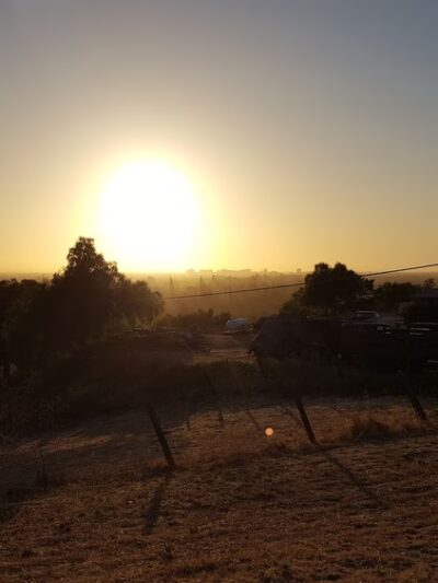 Hellyer County Park - San Jose, CA