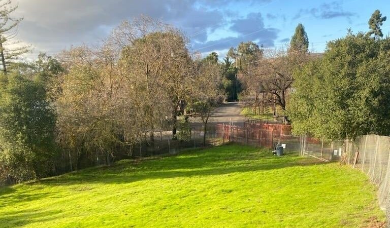 Hillside Meadow Sniff Spot - Off leash private dog park - San Jose, CA