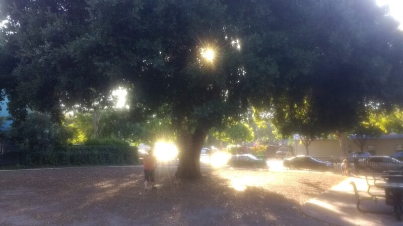 Lenzen Park - San Jose, CA