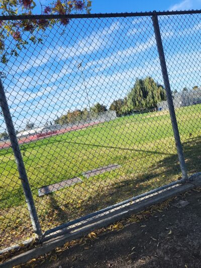 Lincoln Dog Park - San Jose, CA